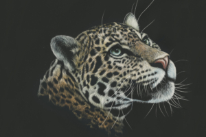 Leopard Artwork Paint 4K2037212504 300x200 - Leopard Artwork Paint 4K - Warrior, Paint, Leopard, Artwork